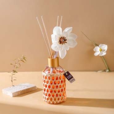 FRAGRANCE DIFFUSER, XY100-YB5022102-H