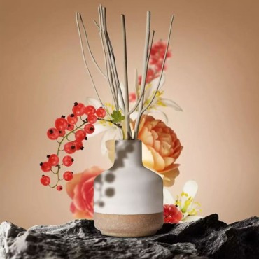 FRAGRANCE DIFFUSER, XY100-16