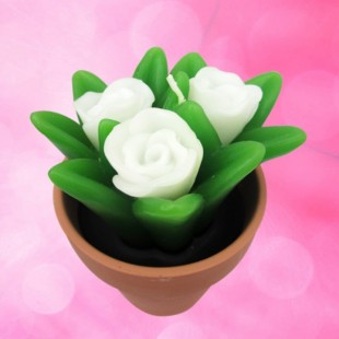 Modeling Candle, ZX-DPSXH-180